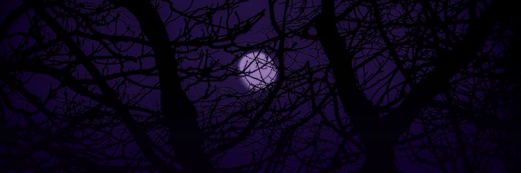 ClericLITE's profile banner image