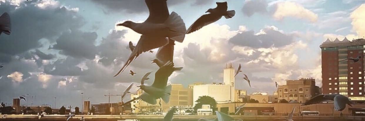 thorauataha's profile banner image