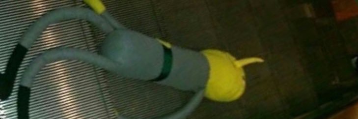 lexi banner