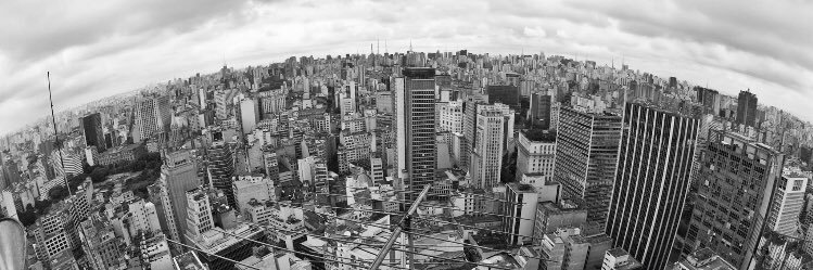 Grupo Direito e Políticas Públicas banner