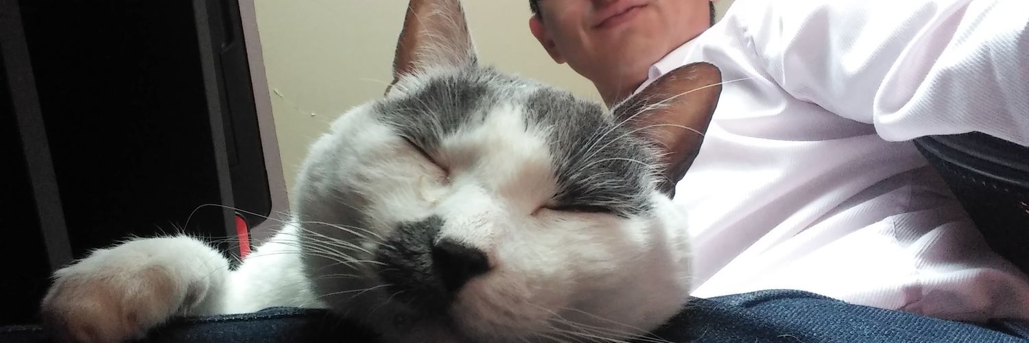 Tesis a medias banner