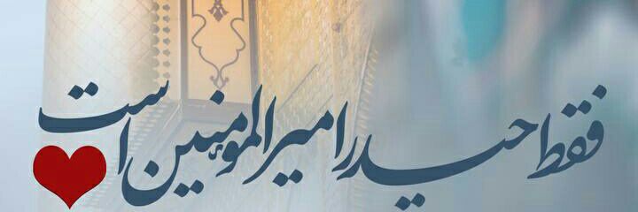 Naqi Raza banner