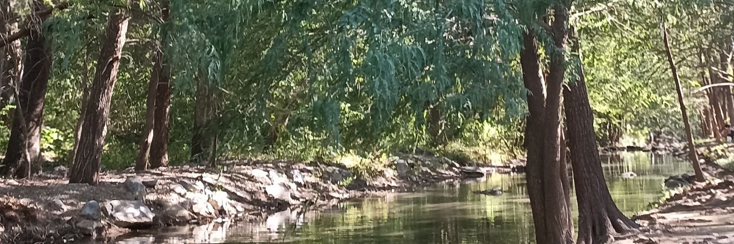 ErickLeeD's profile banner image