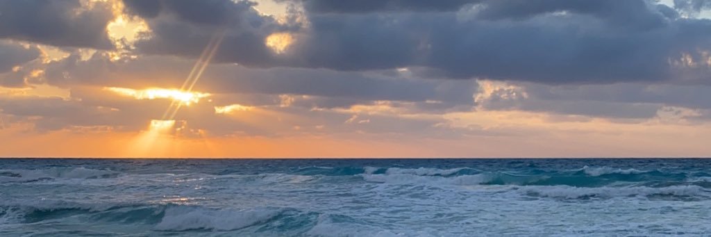SarahMoniem1's profile banner image