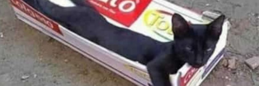 MouinRoy's profile banner image
