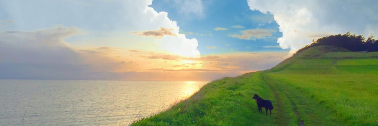 FreshPrince_RC's profile banner image
