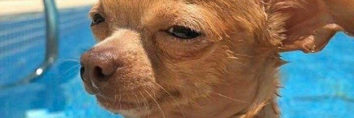 🌻LH.FYㅇㅇㅎ banner