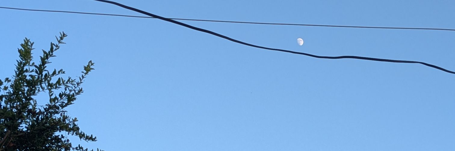 _may_fly_'s profile banner image