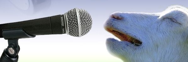 MadBlasta's profile banner image