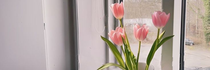 kika banner