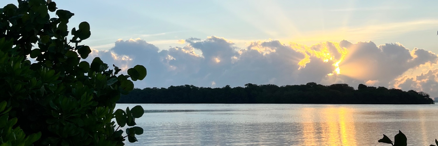 Rebekah 💥 Monson banner