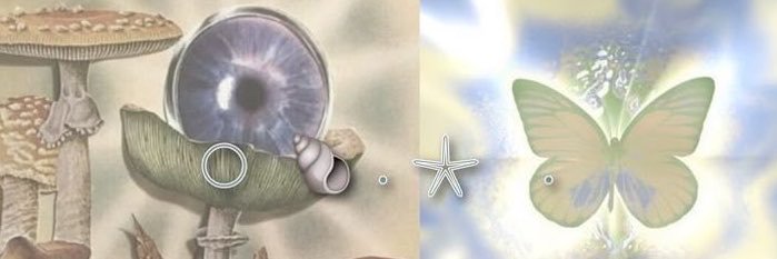 cuuyol's profile banner image