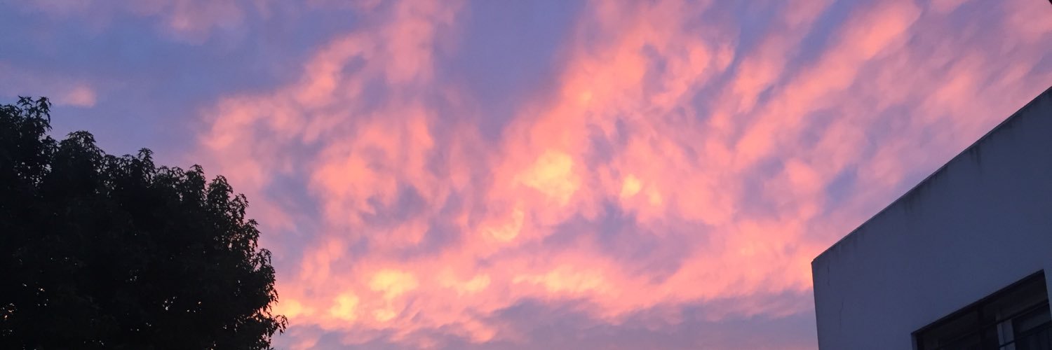 Luliibichian's profile banner image