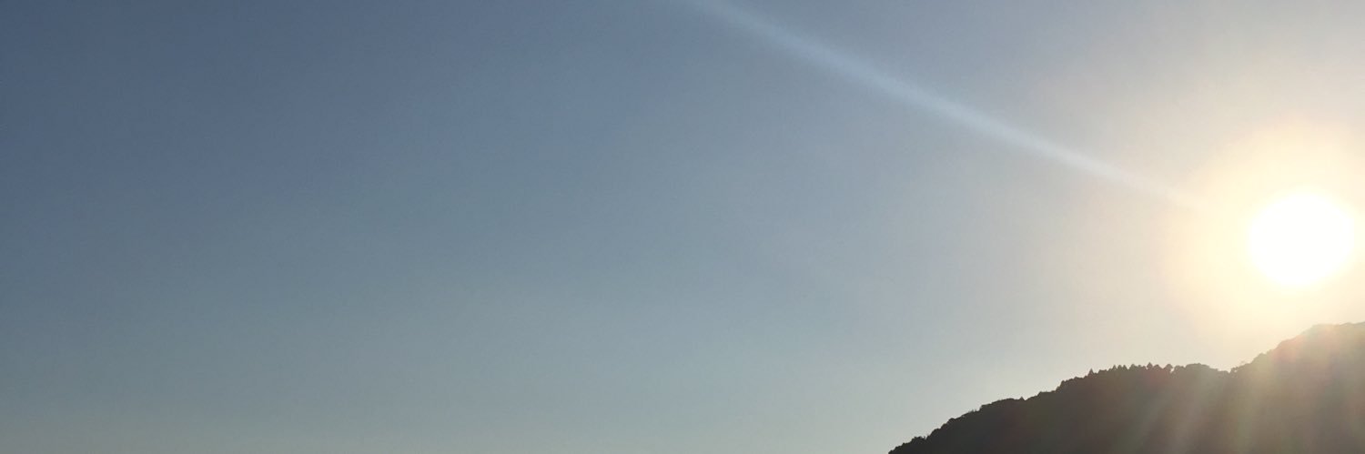 usodesu4575's profile banner image
