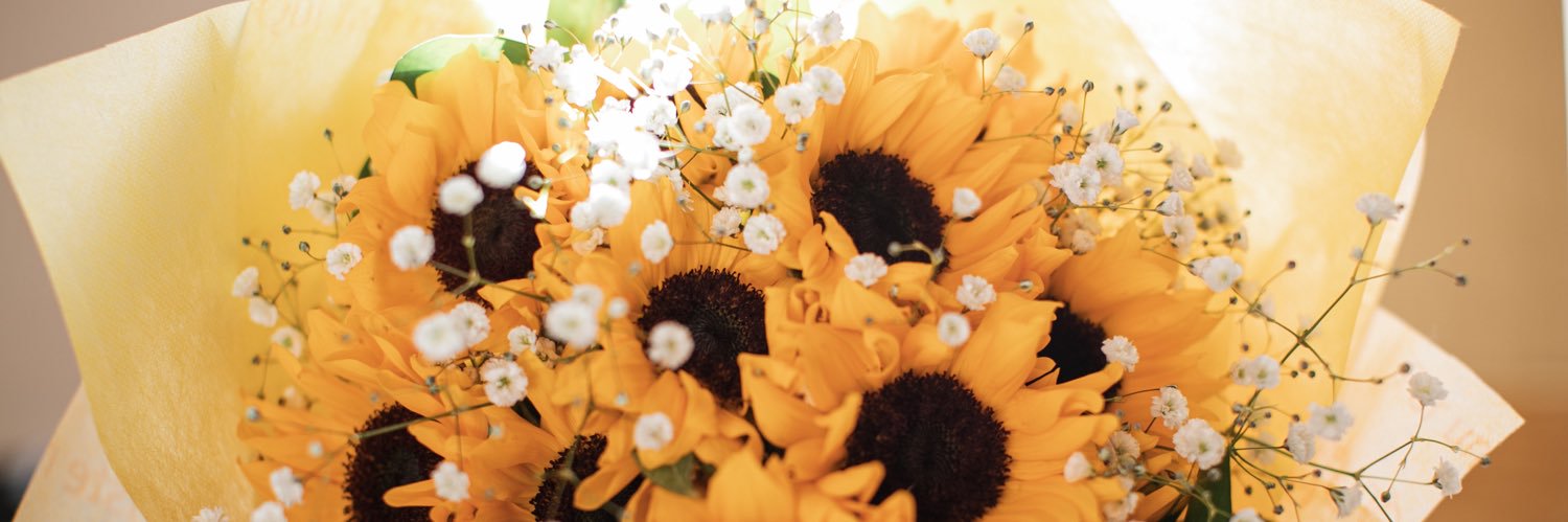 exile_sunflower's profile banner image
