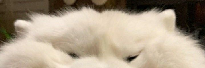 แจ๋ว banner