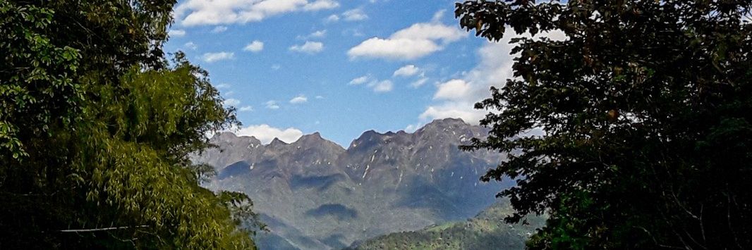 Jesvilmuz 🐳 banner