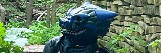 ThatRebelLizard's profile banner image