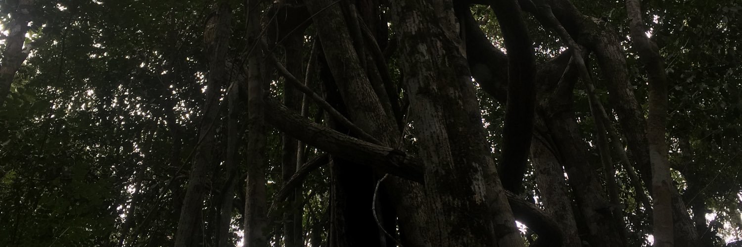 UnCucharon's profile banner image