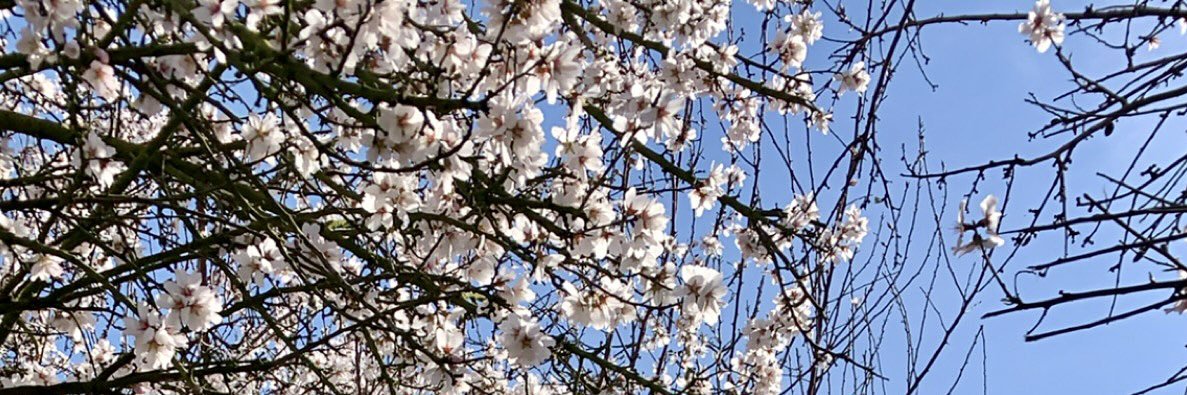 SunShiineSmiley's profile banner image