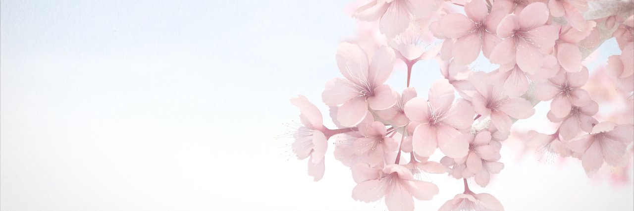 cocoholicz's profile banner image