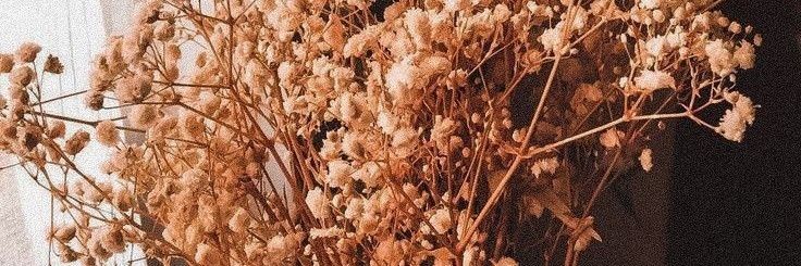 zëa ㅡ app premium + pulsa (dm aja) banner