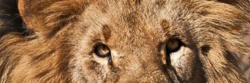 qdogg77's profile banner image