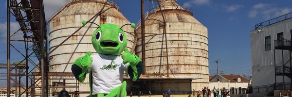 855bugs Profile Banner