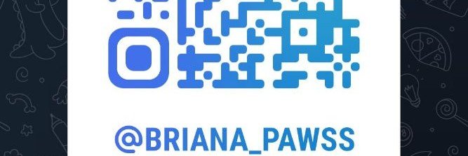 bria_forever's profile banner image
