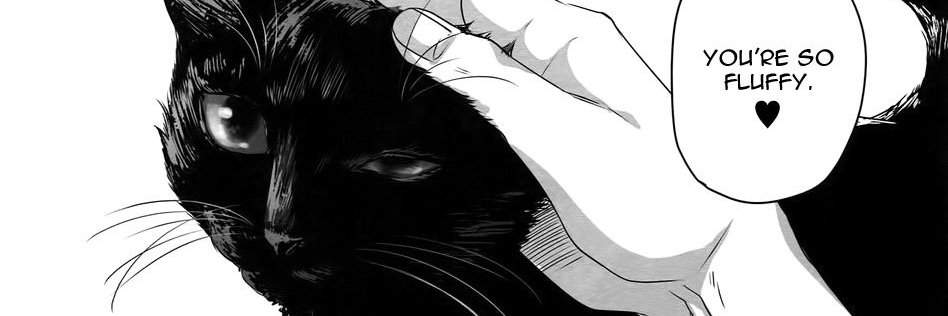 lilSaitsu's profile banner image