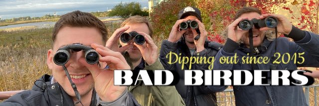 BAD Birders banner