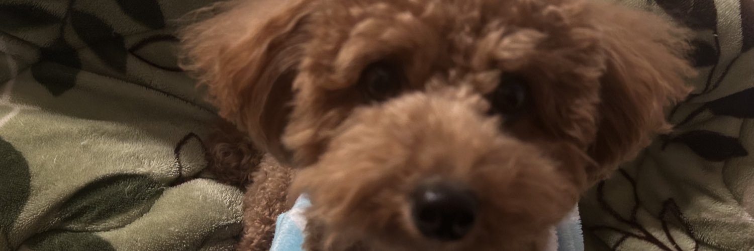 matzaimey's profile banner image