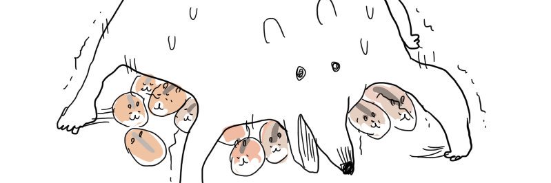 hampom2003's profile banner image