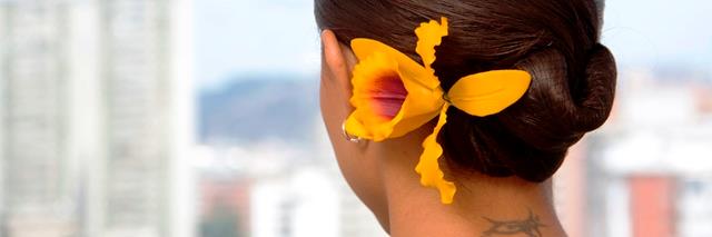 carolrg2's profile banner image
