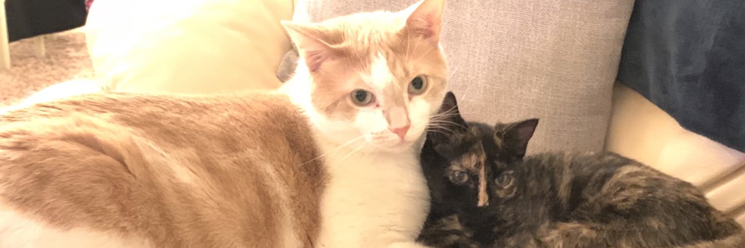 Dhatri Kotekal DO banner