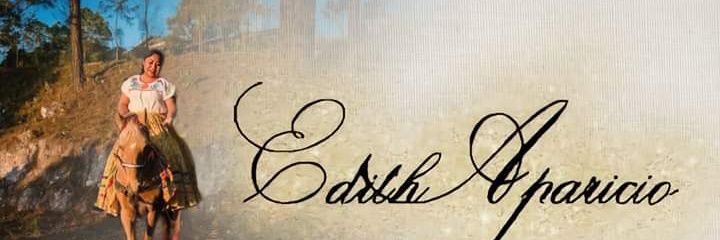 EdithAparicioM1's profile banner image
