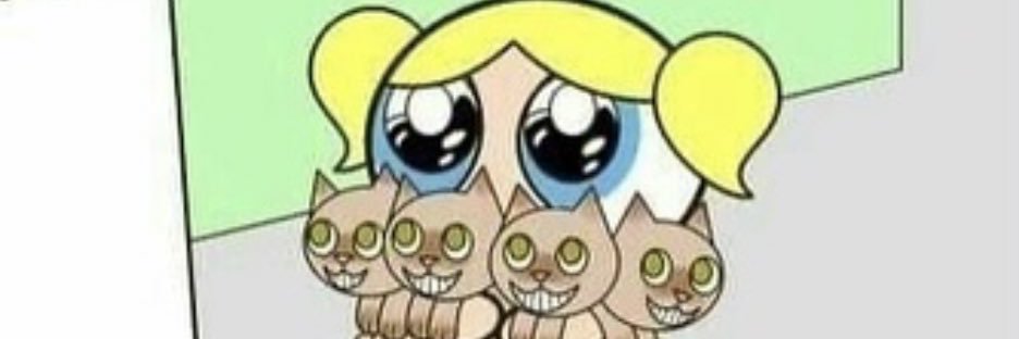 saaaakipoooon's profile banner image