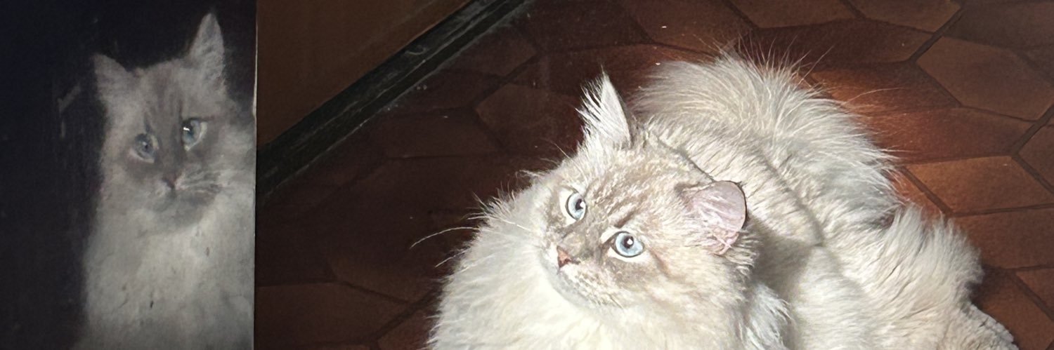 gerkuleksy's profile banner image