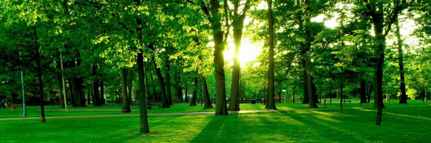 TanyaHamlin3's profile banner image