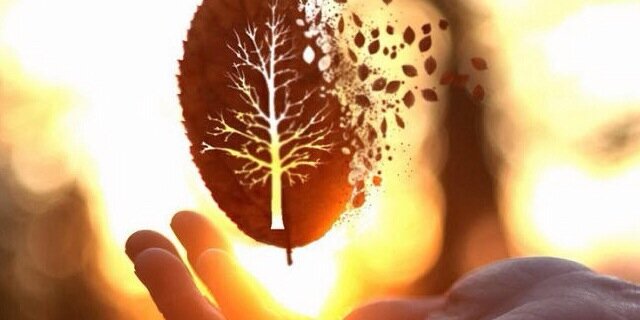 Bofhas's profile banner image