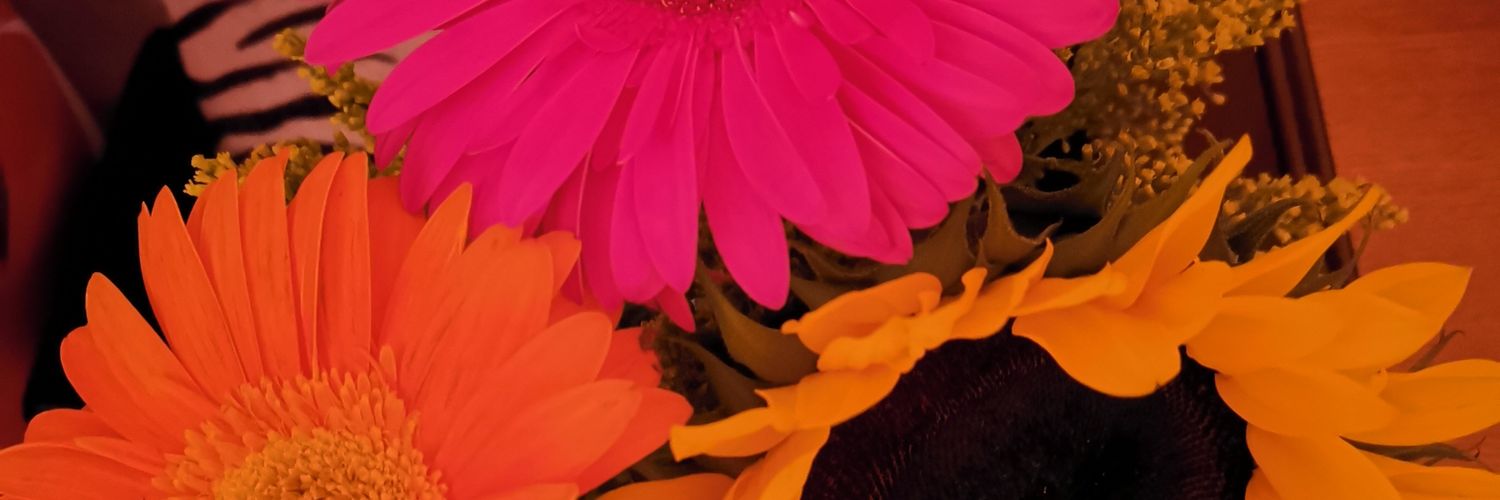 CristobalLJ's profile banner image