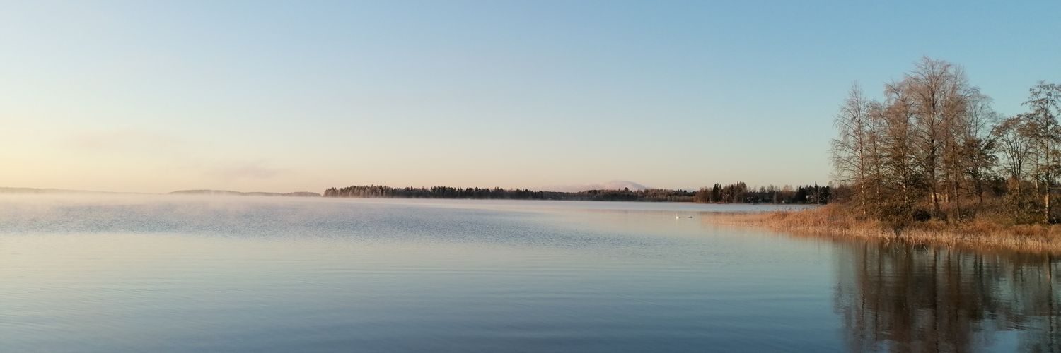 Eeva Vaskilampi banner