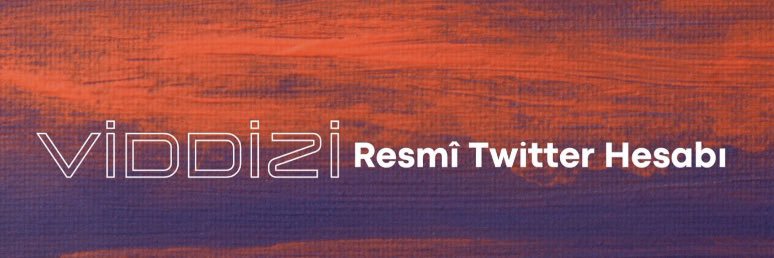 Viddizi banner