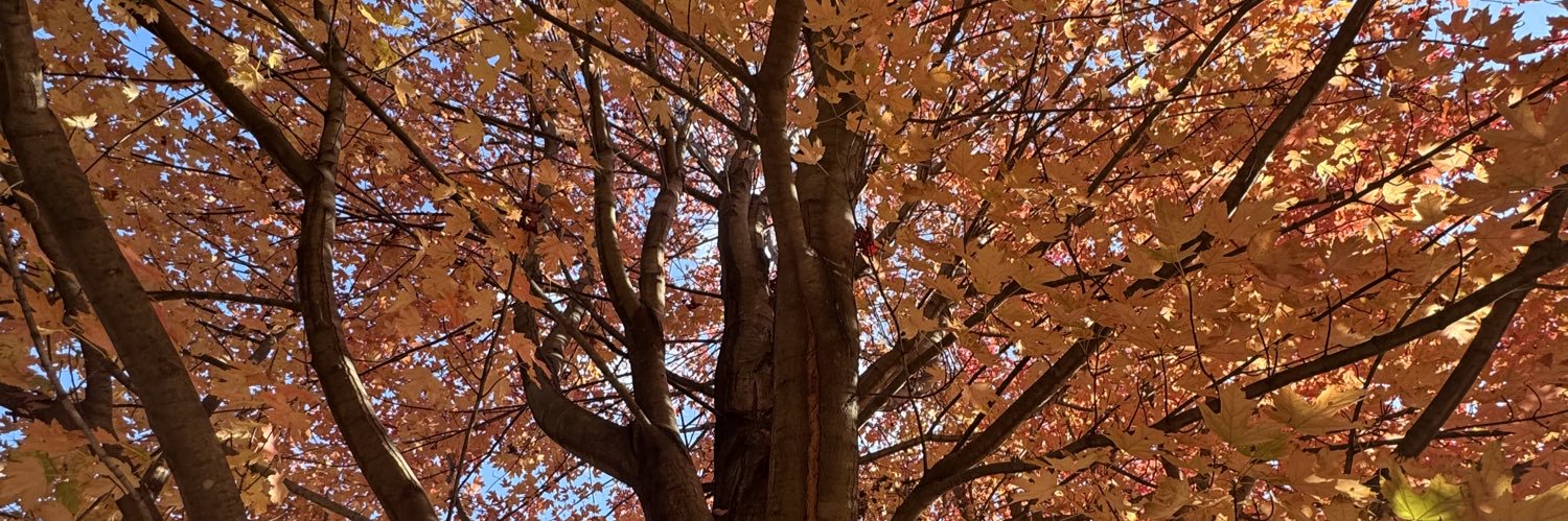 CLAUDIA HART banner