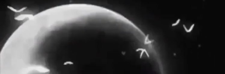 loosstinspace's profile banner image