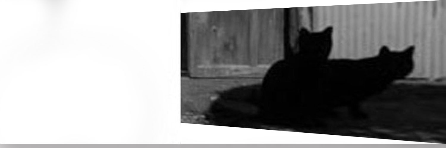 pulusfil29's profile banner image