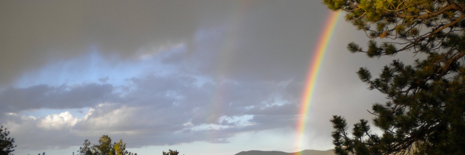 Remember the USA banner