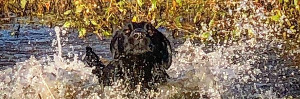 HunterFarmer70 Profile Banner