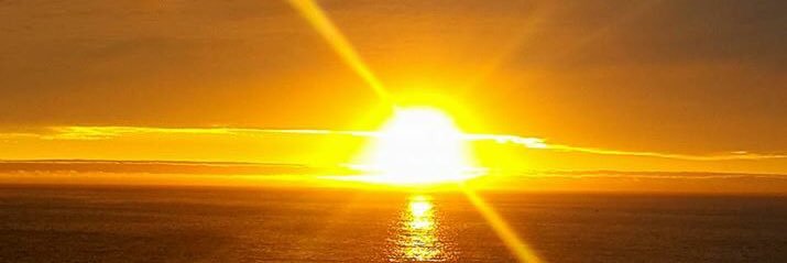 Maxi Bartfeld banner