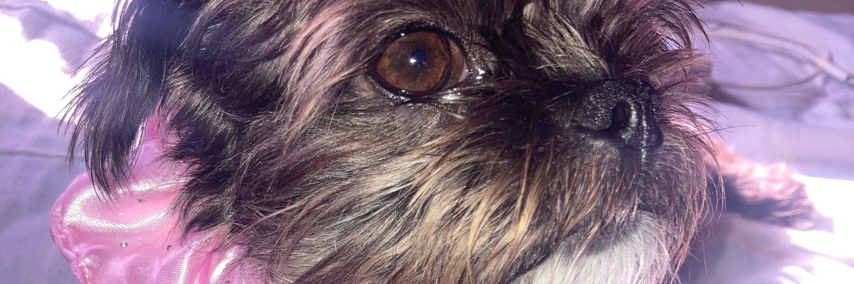 VictorDanielHC's profile banner image